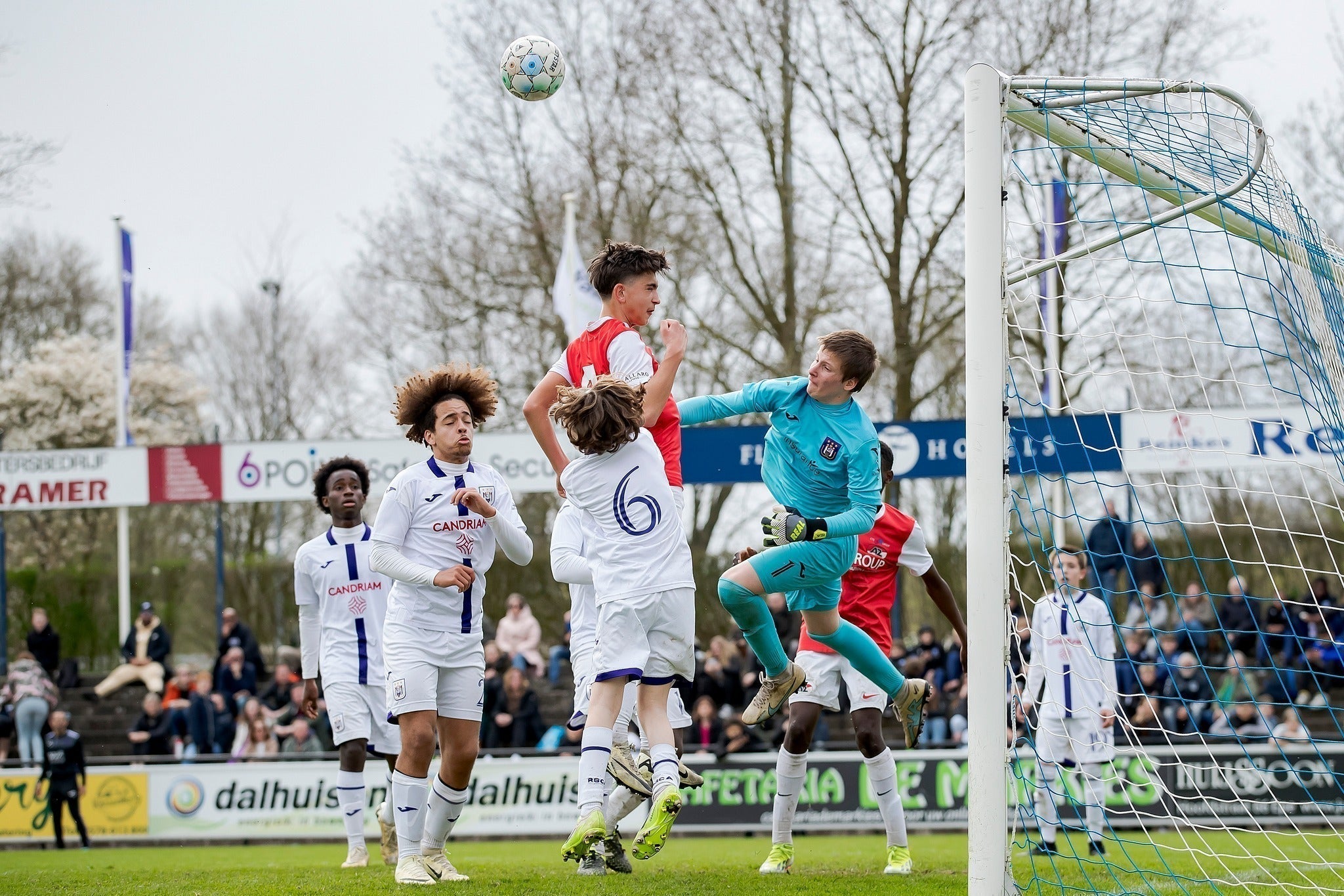 Terugblik 2026 Editie